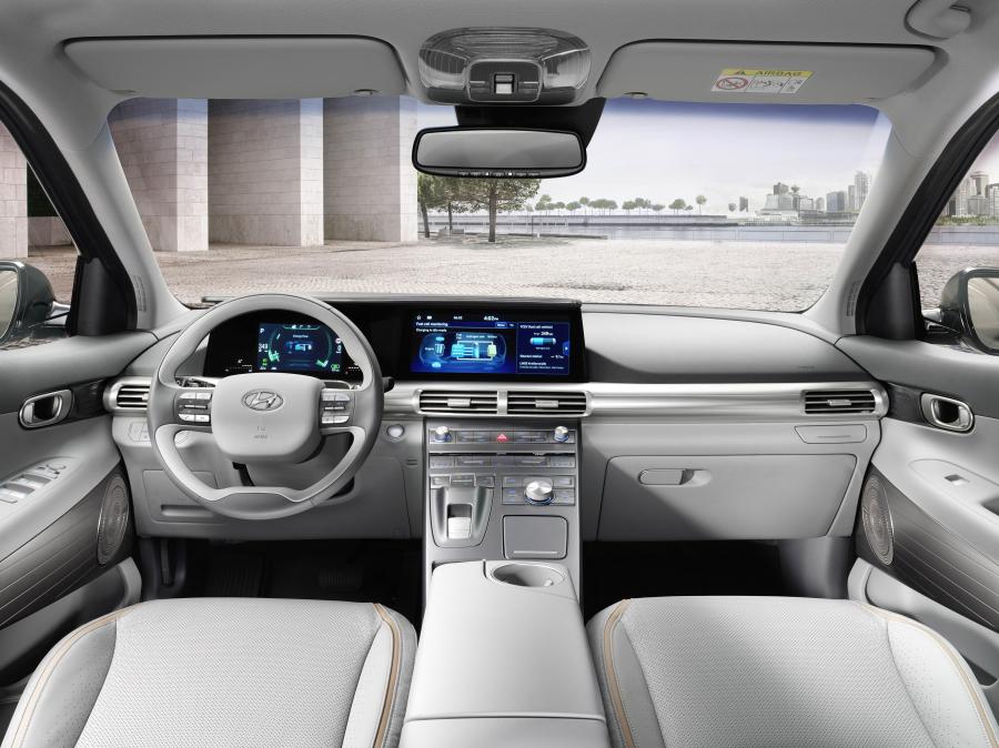 Торпедо Hyundai NEXO 2018 года  (WW) (фото 22 из 41)